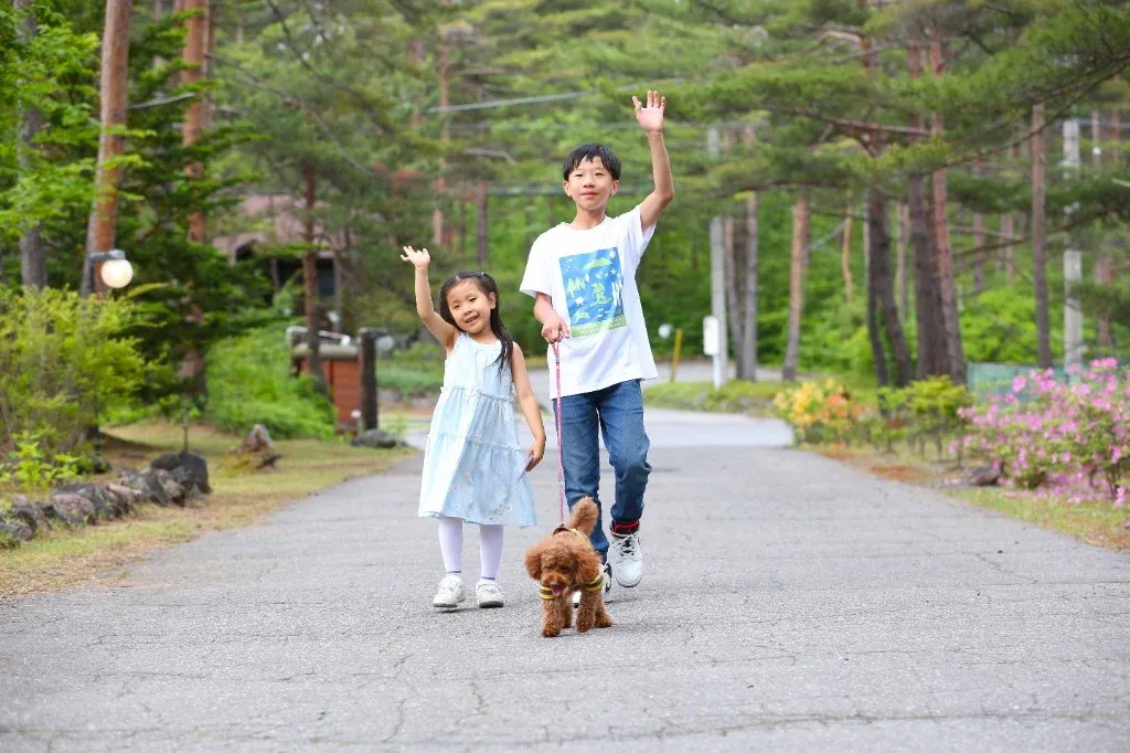 Children walking a dog in the forest