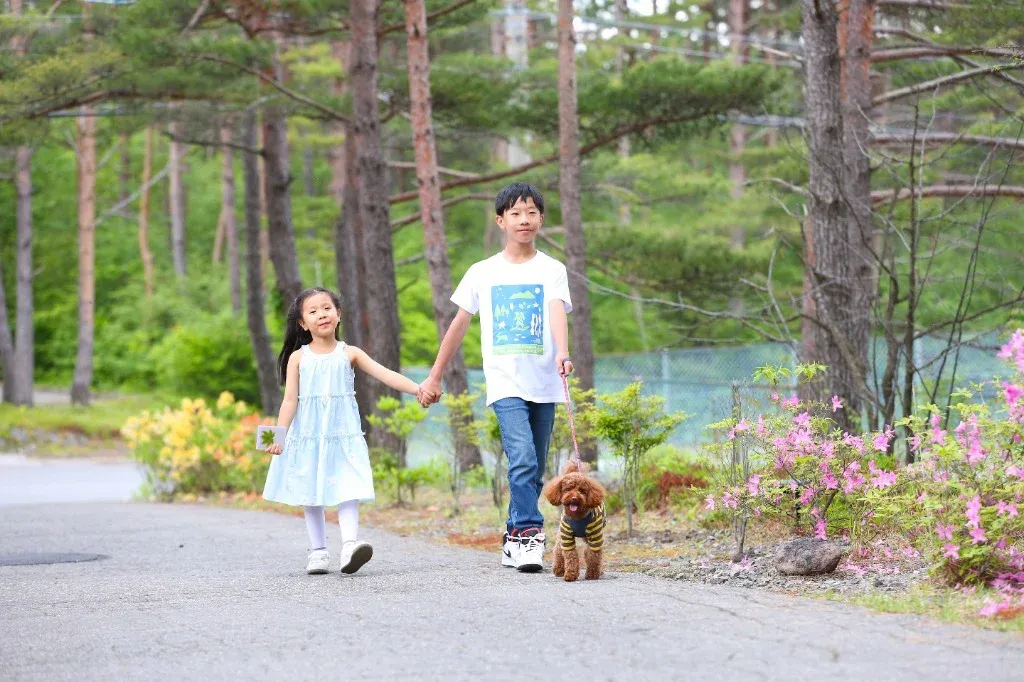 軽井沢の豊かな自然の中、愛犬とお散歩を楽しむ様子